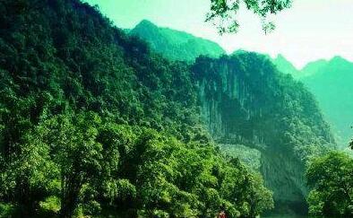 乐业县黄猄洞翡翠天坑（国家森林公园）森林生态旅游开发项目