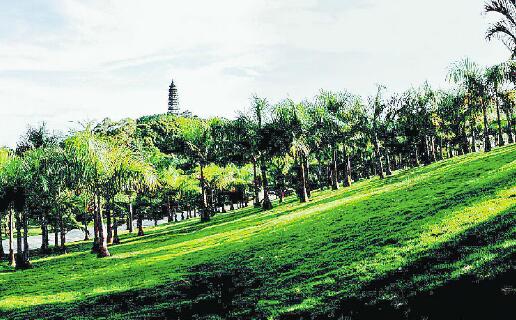 云南省德宏州瑞丽市城市绿化、景观及提升改造项目