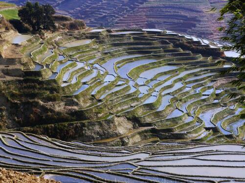 元江县“梯田人家”旅游景区建设项目