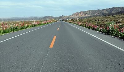 兴礼路—科技四路道路建设工程