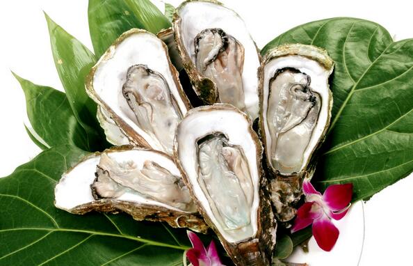 养生蚝
