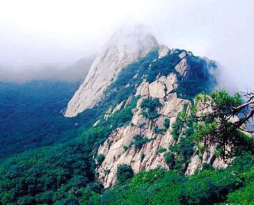 凤凰山风景区基础设施建设项目