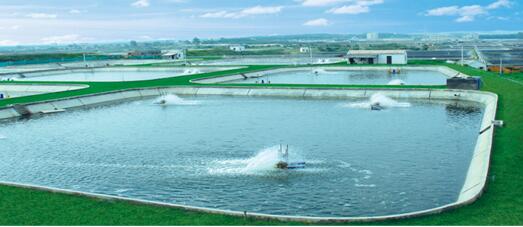 四川内江市市中区规模化水产养殖项目