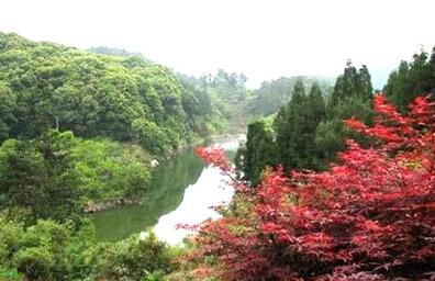 大五顶森林公园项目