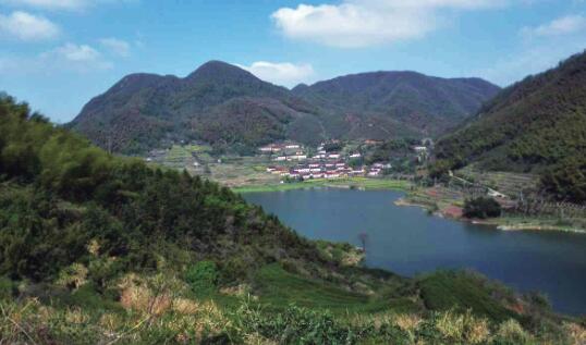 大市静林寺高山村落养生综合体项目