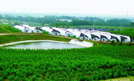 天等县现代农业示范区建设项目