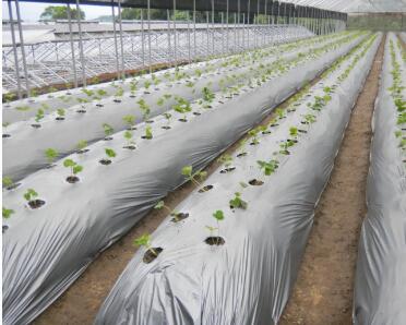 峨山县农用生物可降解地膜建设项目