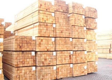 年产5万立方木质建材项目