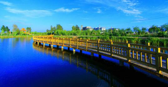 张掖市临泽县双泉湖湿地公园项目