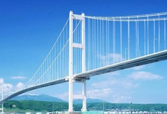 桂平市浔江大桥及其引道工程项目