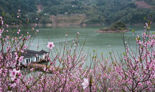 桃花湖生态休闲观光旅游区开发项目