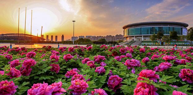 洛阳市牡丹花仙文化演艺乐园建设项目