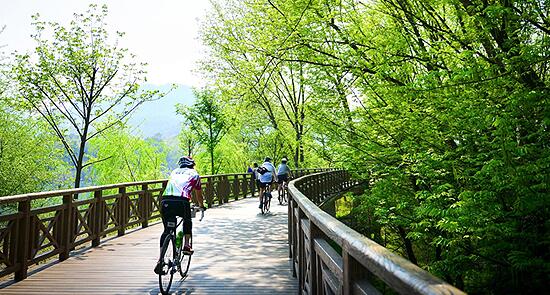 浙江省台州市仙居国家公园休闲骑行道项目