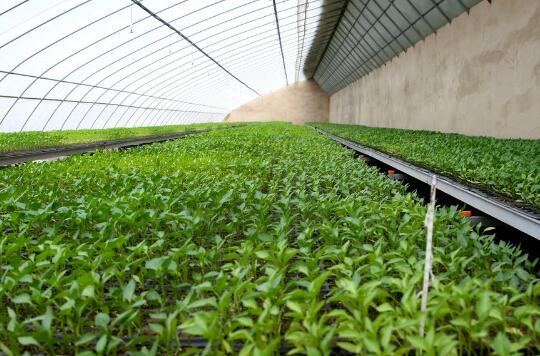 灵台县达溪河川区设施蔬菜示范园建设项目