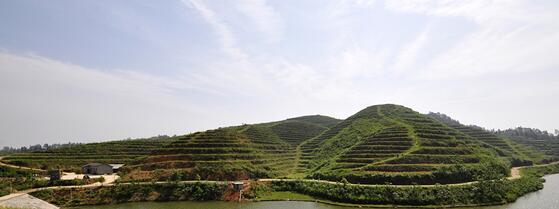 玉屏县朱家场镇万亩油茶基地建设项目