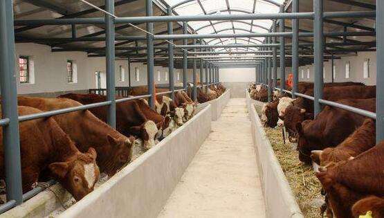 甘肃省张掖市牛羊肉精细分割及深加工产业化建设项目