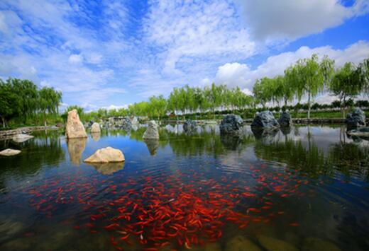 甘肃省张掖市高台县大湖湾旅游风景区项目