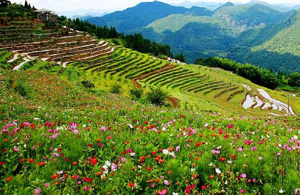 盘县高山花卉示范园区万亩茶山花海休闲度假区建设项目