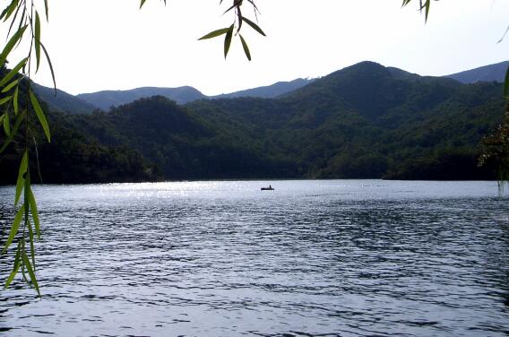 石马镇五阳湖高档冷水鱼养殖开发旅游项目