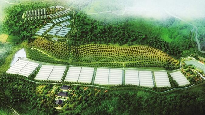 纳雍县寨乐现代生态农业综合示范园建设项目