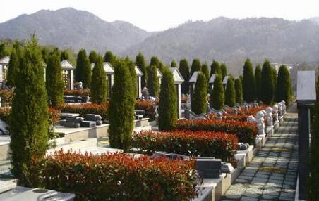 芦山县公墓建设项目