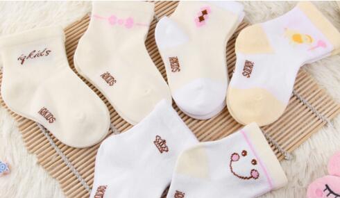 芦山县年产500万双高档棉袜生产项目