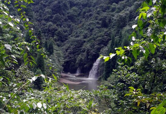 荥经县苦蒿沟生态观光旅游综合开发项目